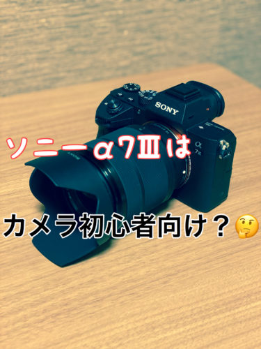 『α７Ⅲ』SONYのミラーレス一眼を買ってみた！スマホ写真とはやっぱり違う？？🤔